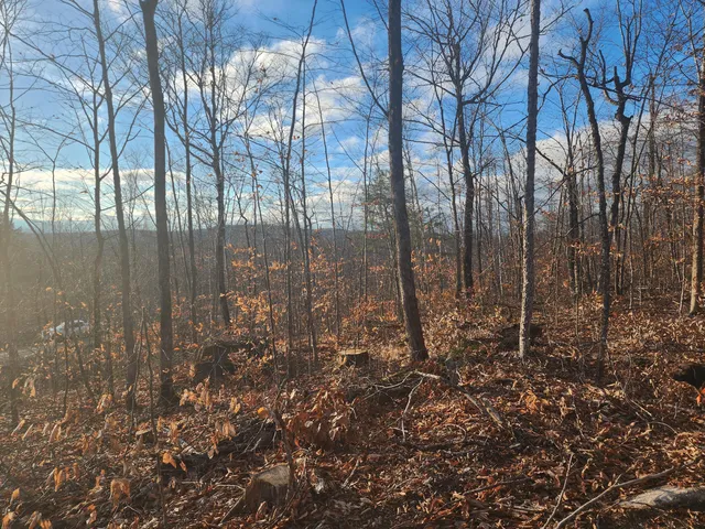 $32,500 | Lot 7 East Dow Farm Rd Island Falls, Island Falls, ME 04747