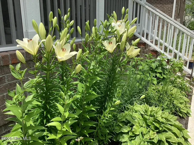 $724,000 | 444 Cypress Landing Trail, Chocowinity, NC 27817