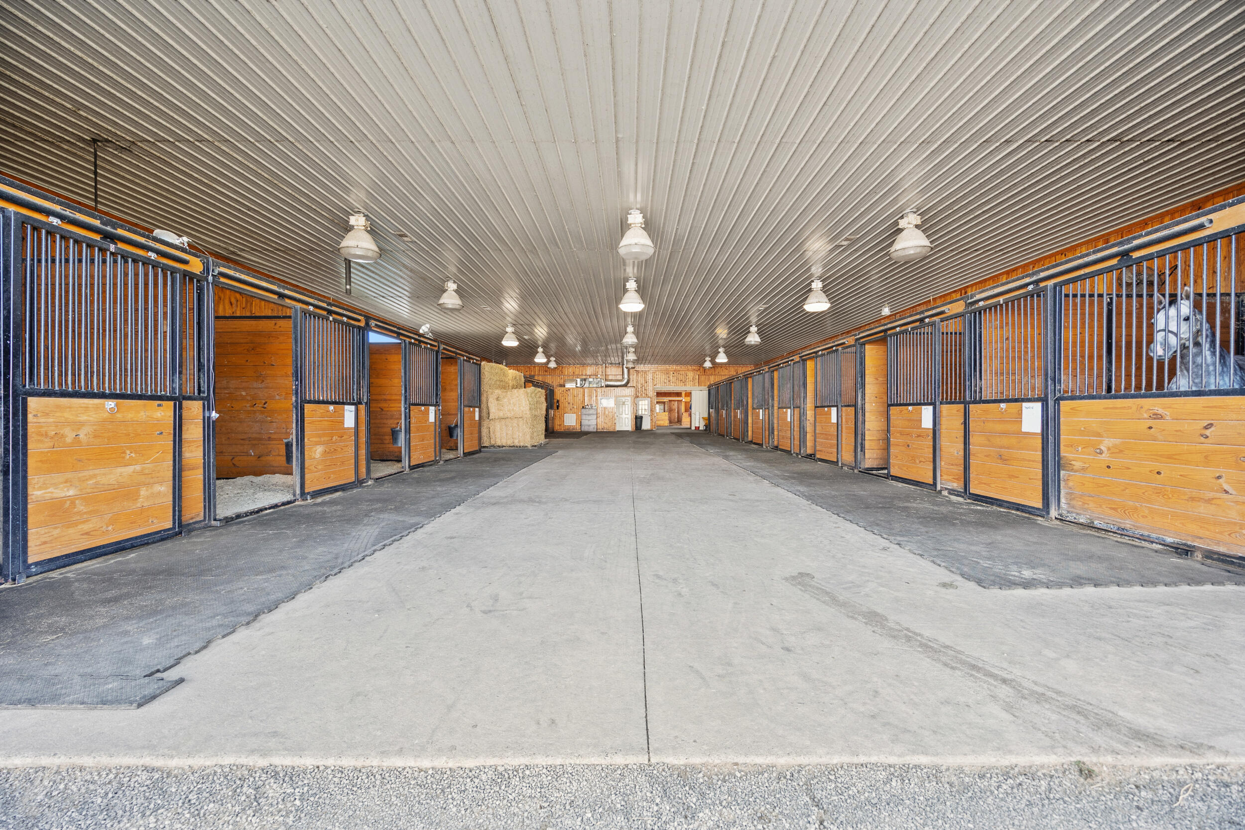 4487 Louisville Road Salvisa, KY 40372 - Photo 16 of 85 4487 Barn 3 Interior 1