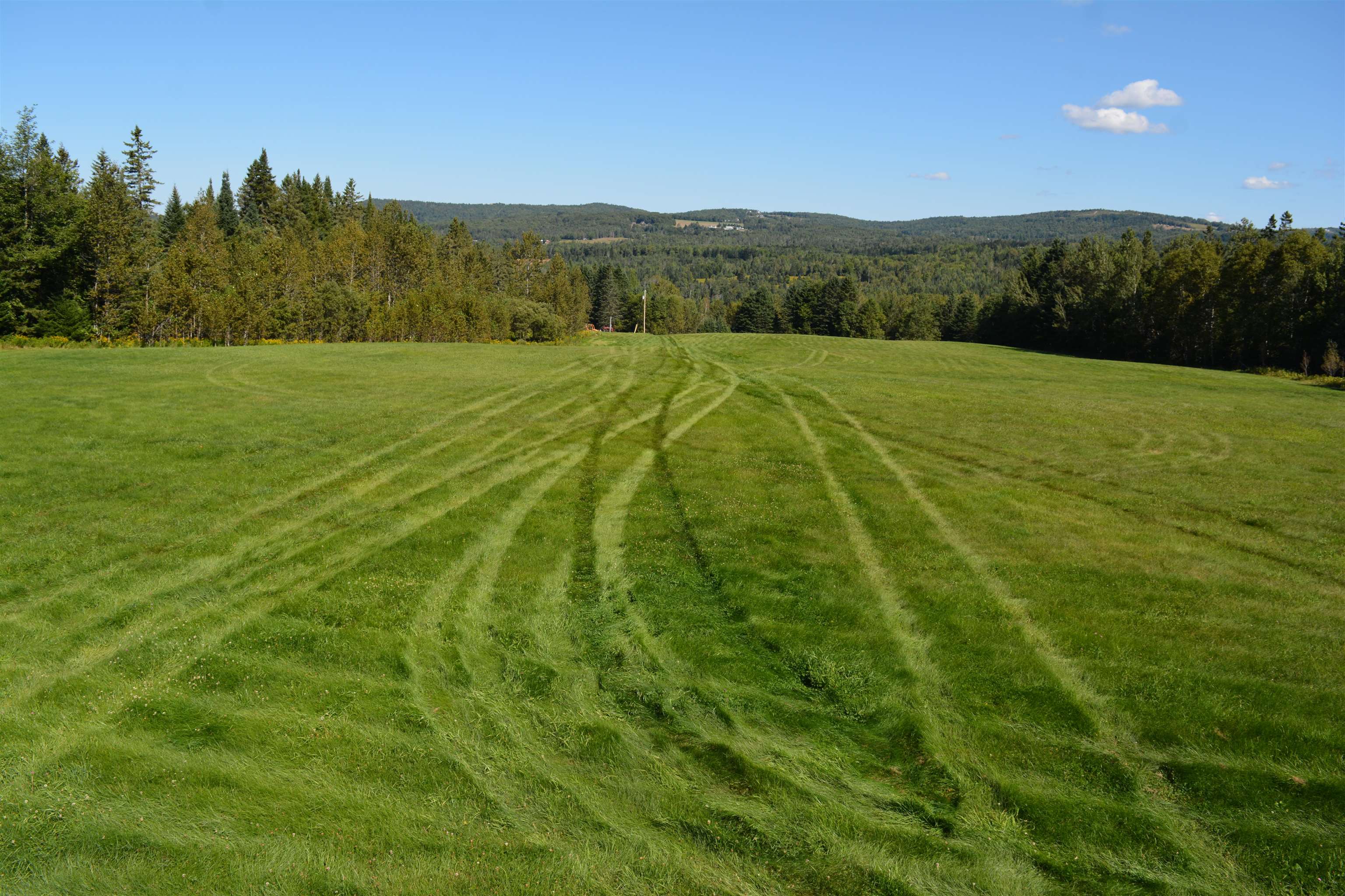 - Harrys Way Colebrook, NH 03576 - Photo 50 of 59