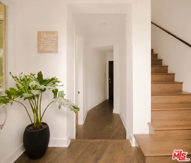 a view of a flower pot with a potted plant