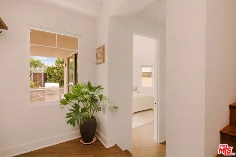 a view of a potted plant in a room