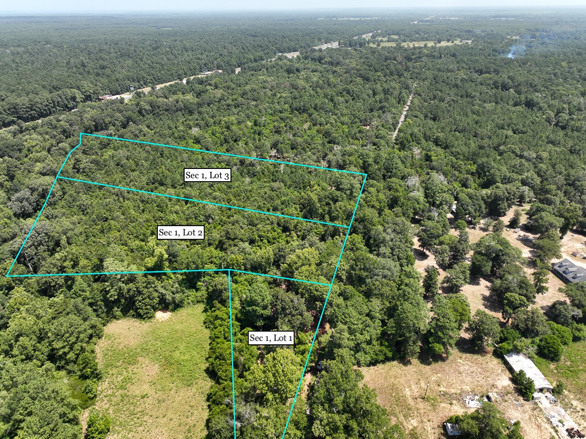 S1-l3 Lake Pool Road Shepherd, TX 77371 - Photo 3 of 9