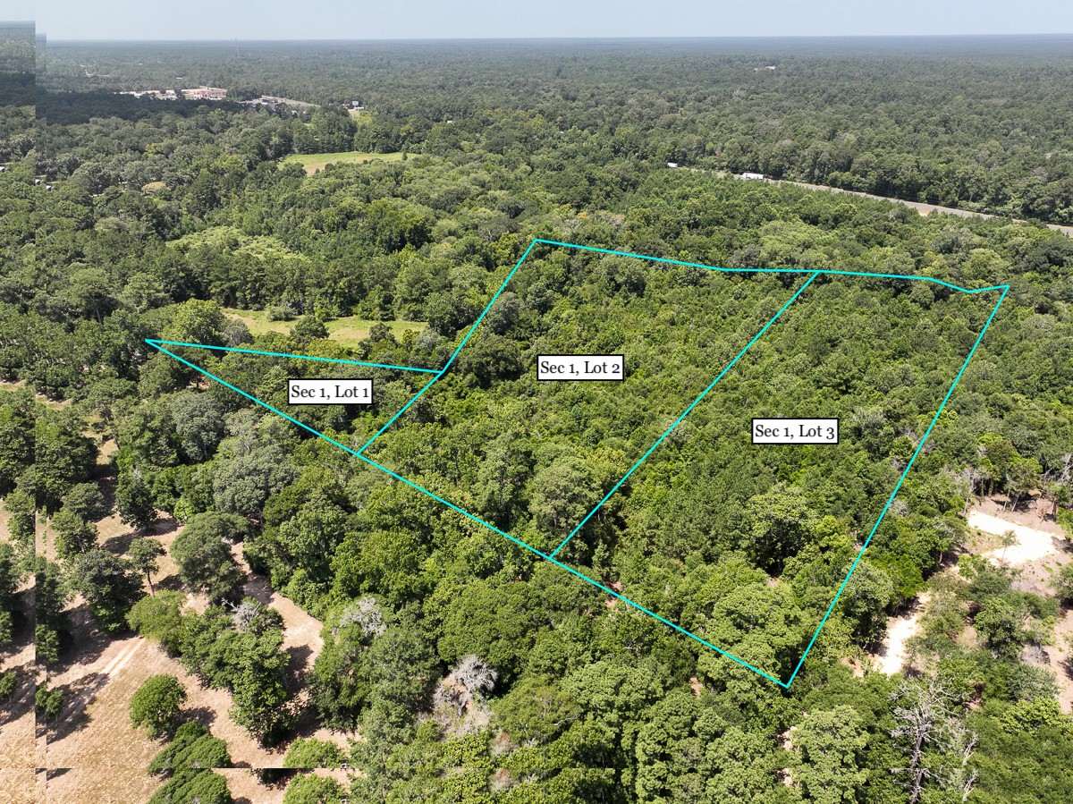 S1-l3 Lake Pool Road Shepherd, TX 77371 - Photo 4 of 9