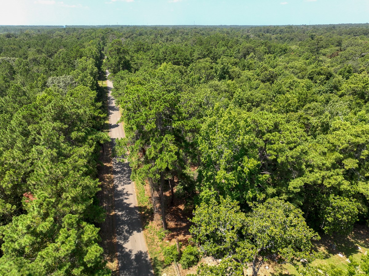 S1-l3 Lake Pool Road Shepherd, TX 77371 - Photo 8 of 9