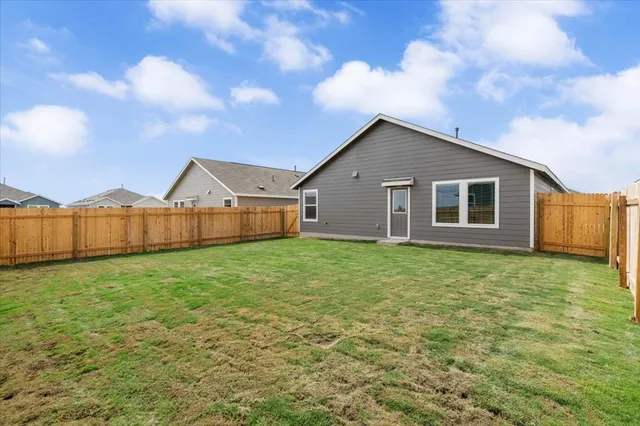 a view of a large garden with plants and large trees