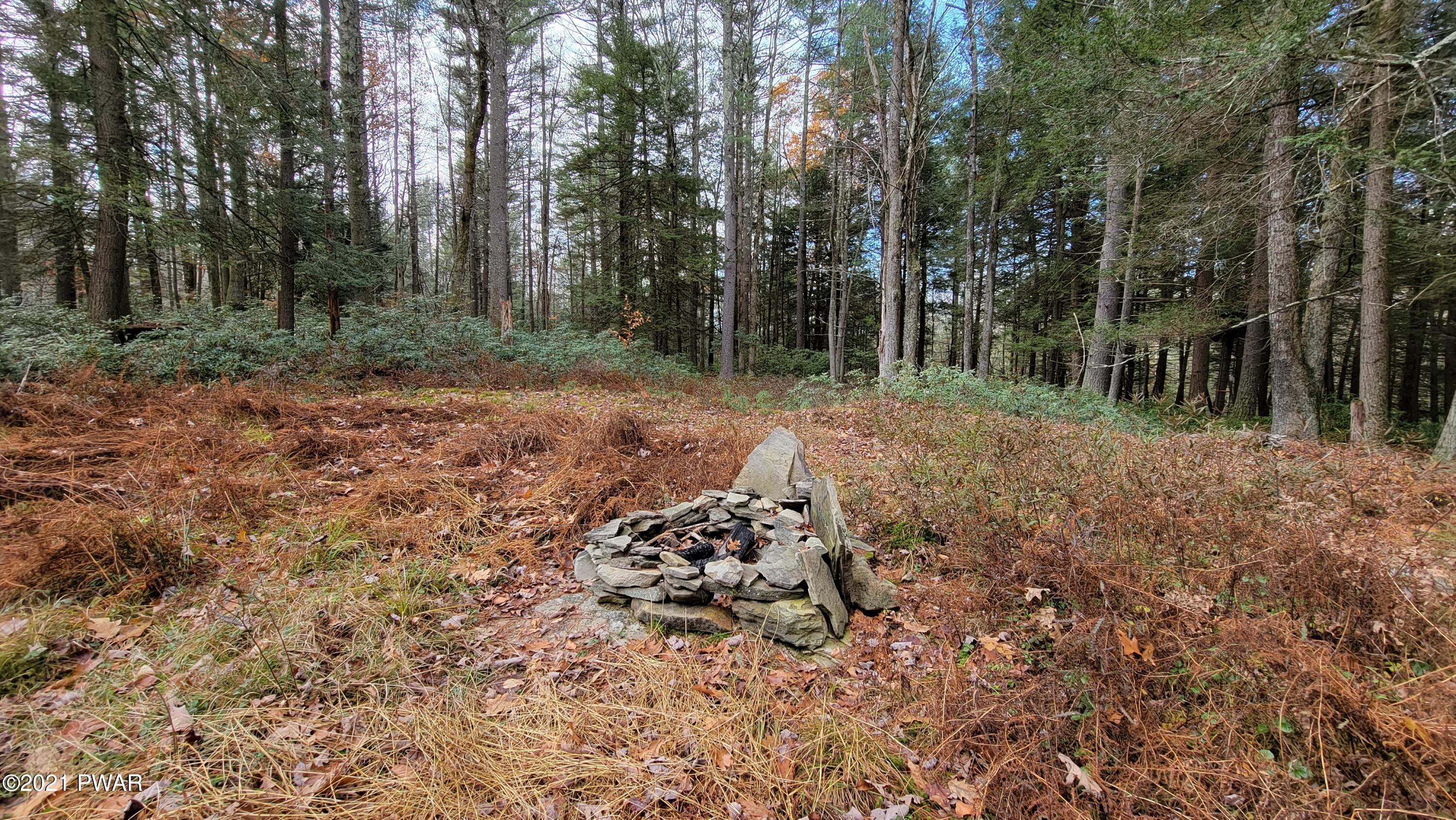 Lot 61 Perry Pond Road Narrowsburg, NY 12764 - Photo 14 of 19