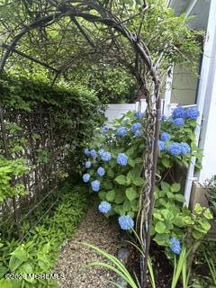 69 Foster Street Red Bank, NJ 07701 - Photo 48 of 56 yard in bloom