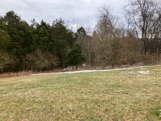260 Enigma Road Buffalo Valley, TN 38548 - Photo 25 of 37 Gallery Image 25