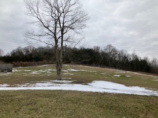 260 Enigma Road Buffalo Valley, TN 38548 - Photo 29 of 37 Gallery Image 29