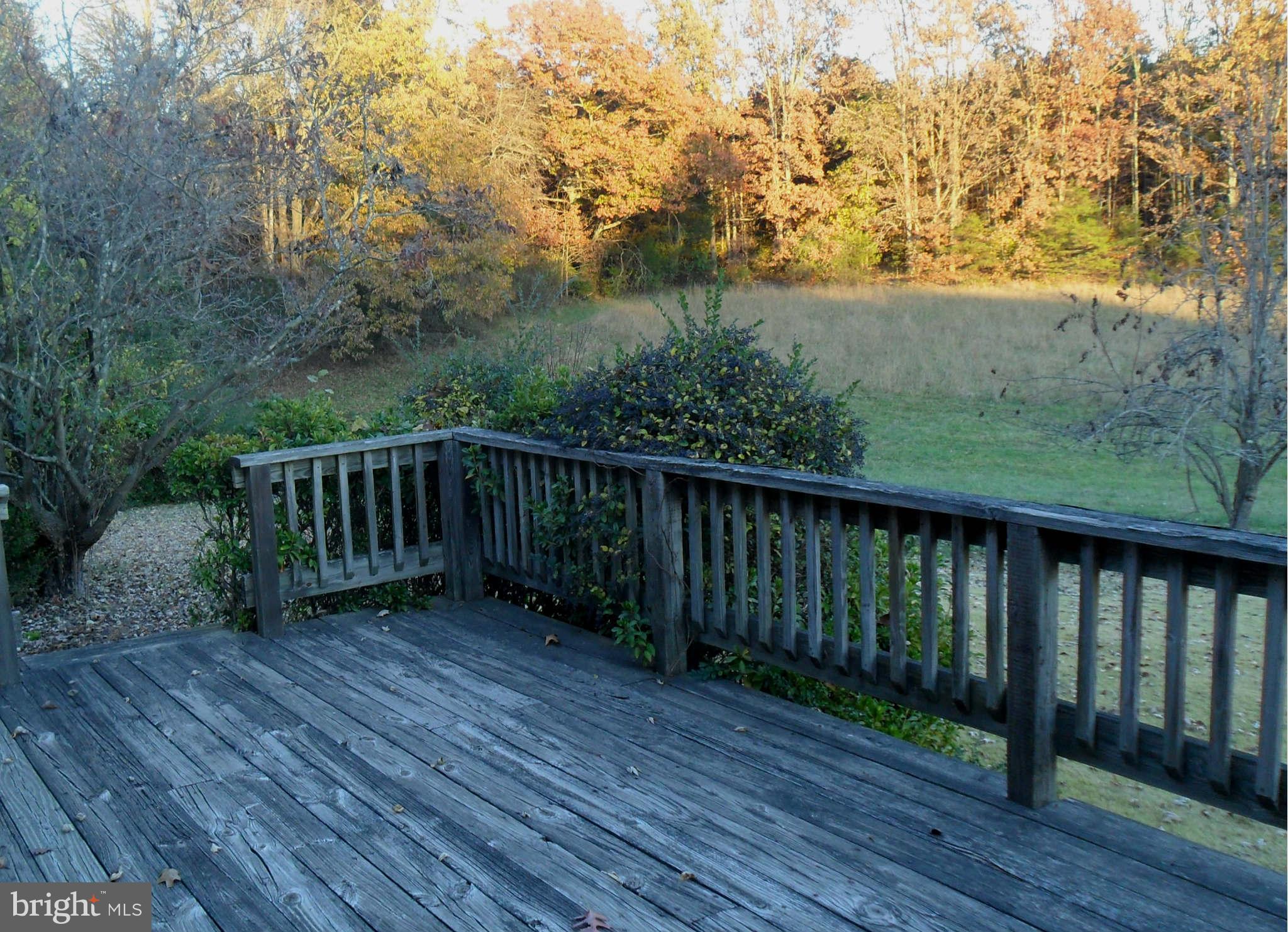 21297 Jacobs Ford Road Lignum, VA 22726 - Photo 24 of 26 Sun going down over the back field