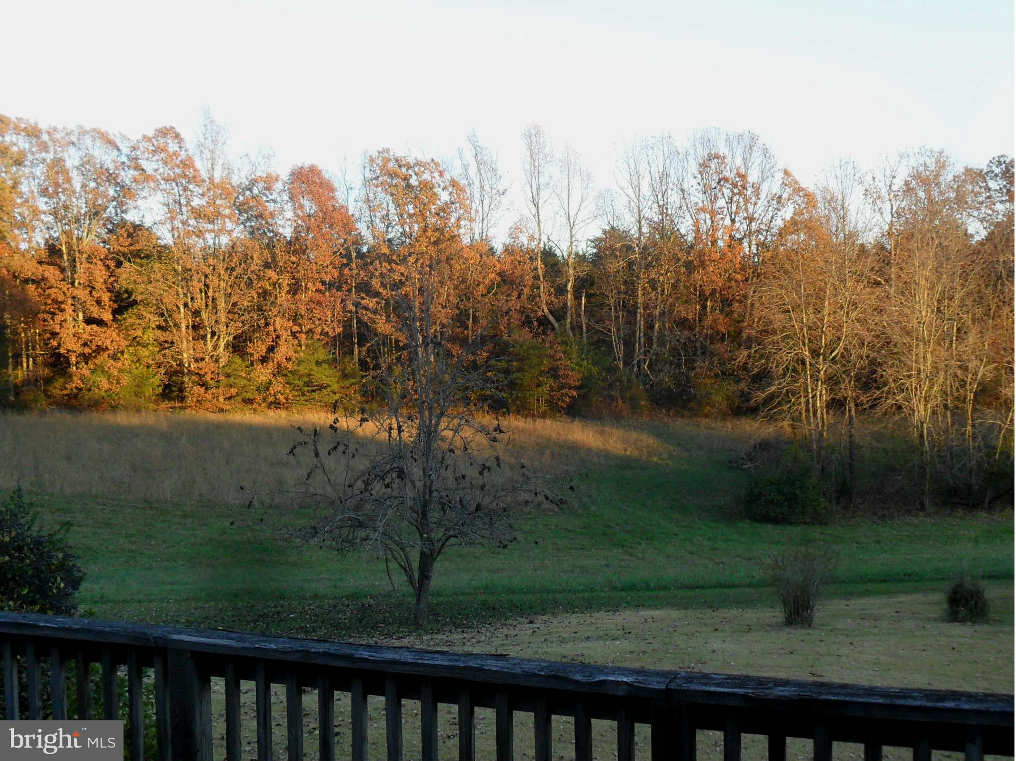 21297 Jacobs Ford Road Lignum, VA 22726 - Photo 25 of 26 Views from the rear of the home