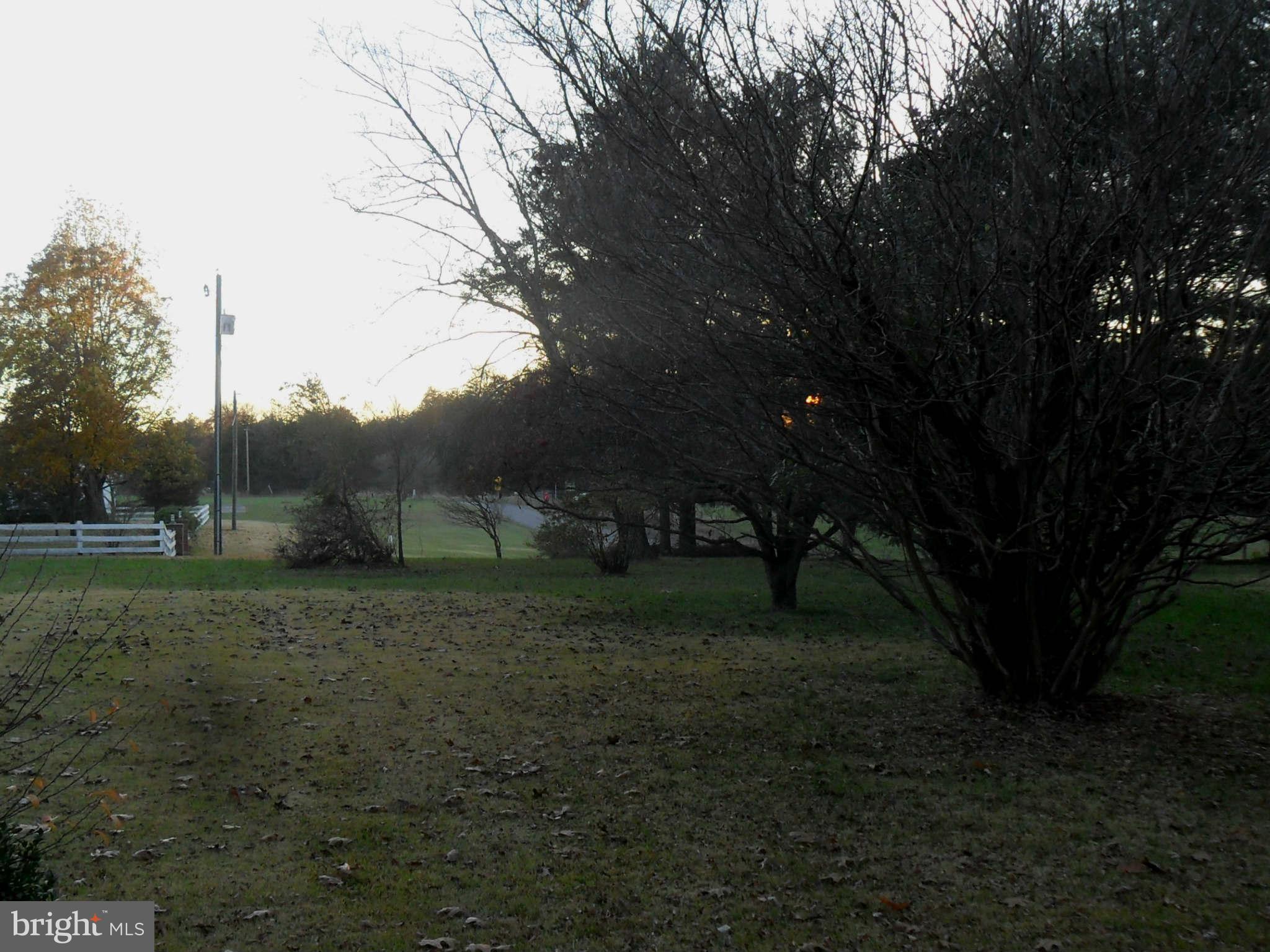 21297 Jacobs Ford Road Lignum, VA 22726 - Photo 5 of 26 front yard looking down the road left