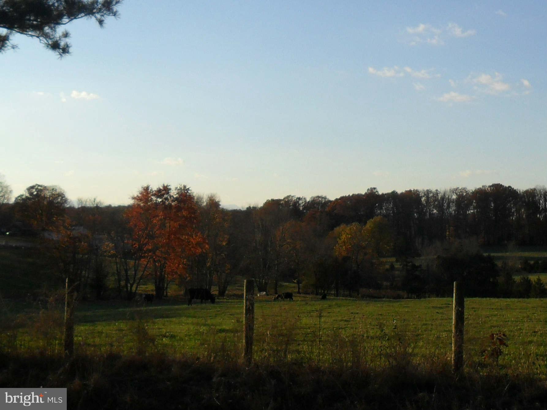 21297 Jacobs Ford Road Lignum, VA 22726 - Photo 6 of 26 View from the front yard - western mtn peek