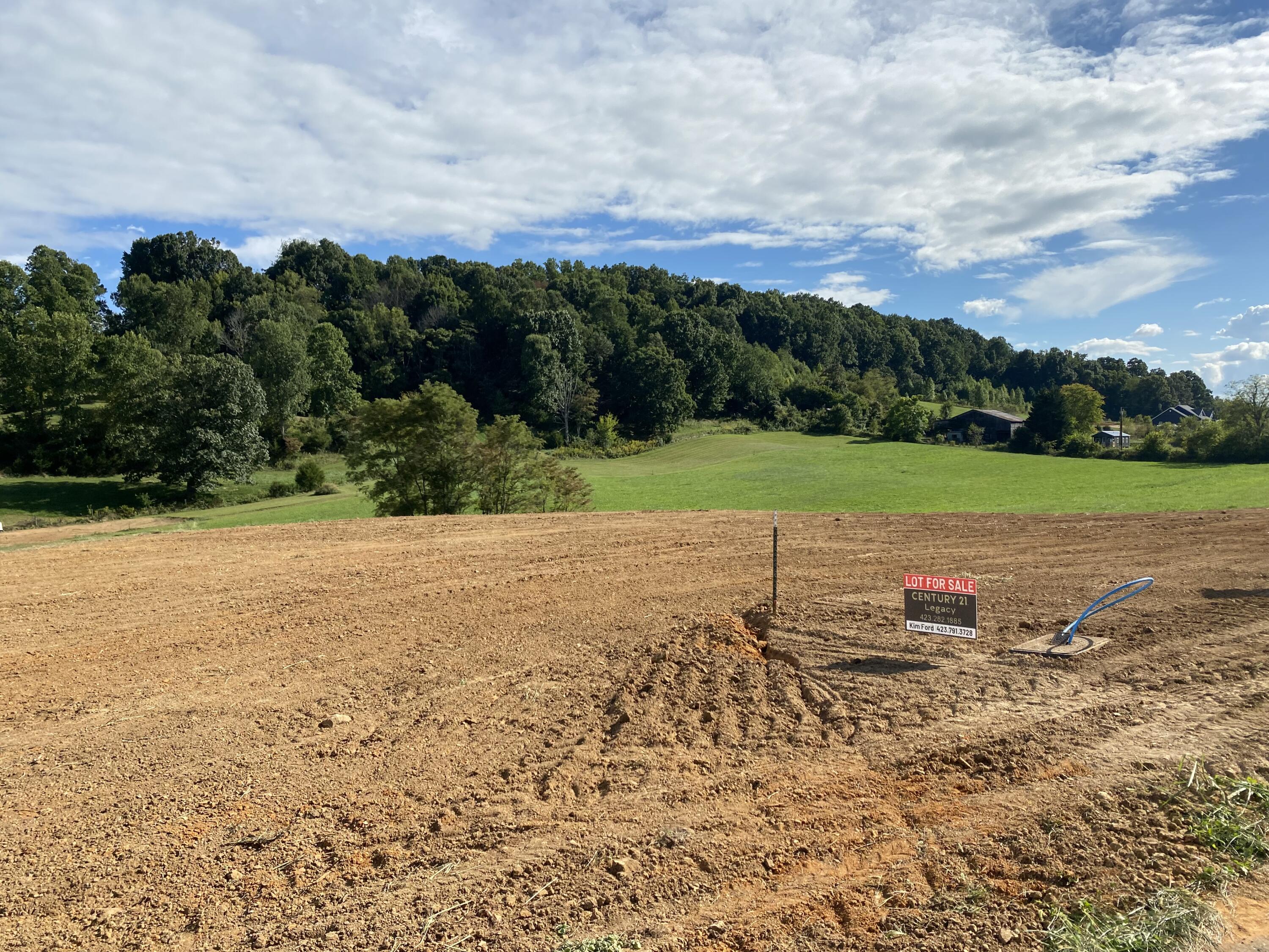 Lot 2 Skipper Ridge, Unit 2 Limestone, TN 37681 - Photo 3 of 5 Skipper Ridge 3