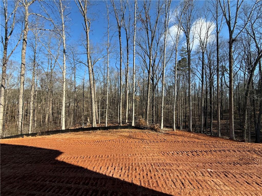 91 Lenten Rose Lane Pendergrass, GA 30567 - Photo 20 of 42