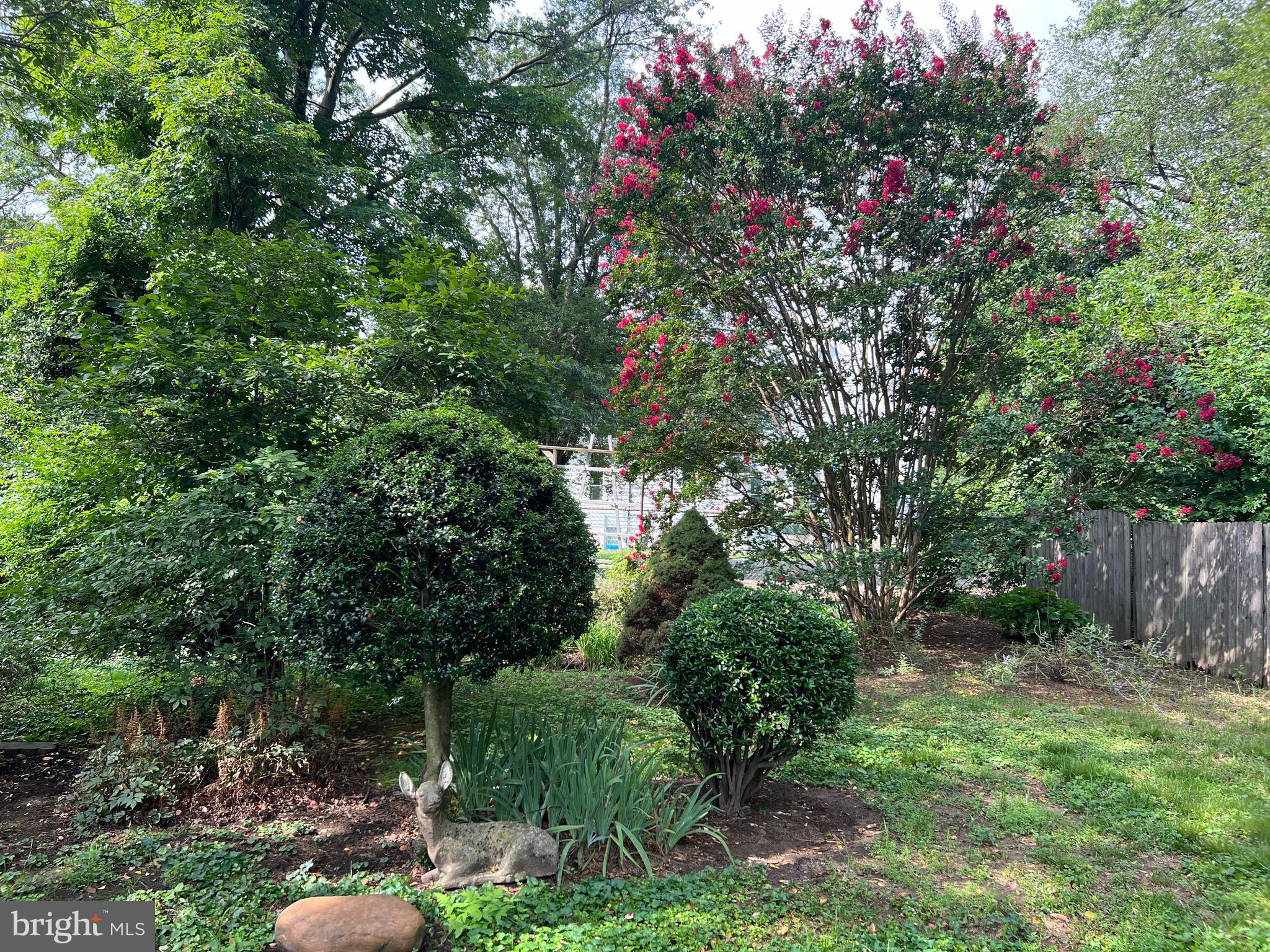 323 Walnut Street Delanco, NJ 08075 - Photo 67 of 69 back yard