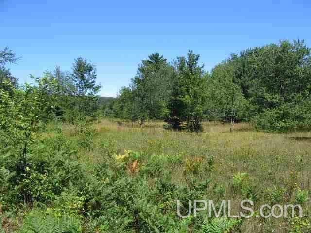 39502 Lower Worham Road Chassell, MI 49916 - Photo 4 of 11