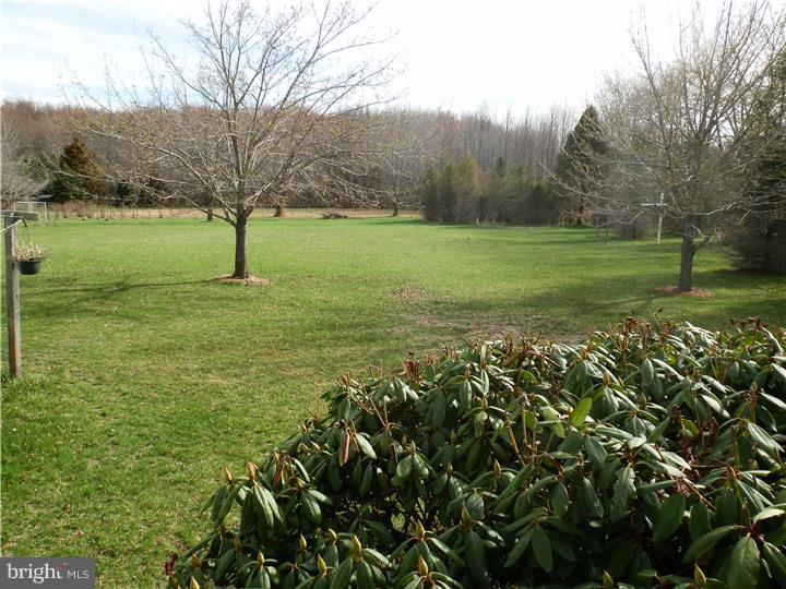 344 Eayrestown Road Southampton, NJ 08088 - Photo 5 of 24 Gallery Image 5
