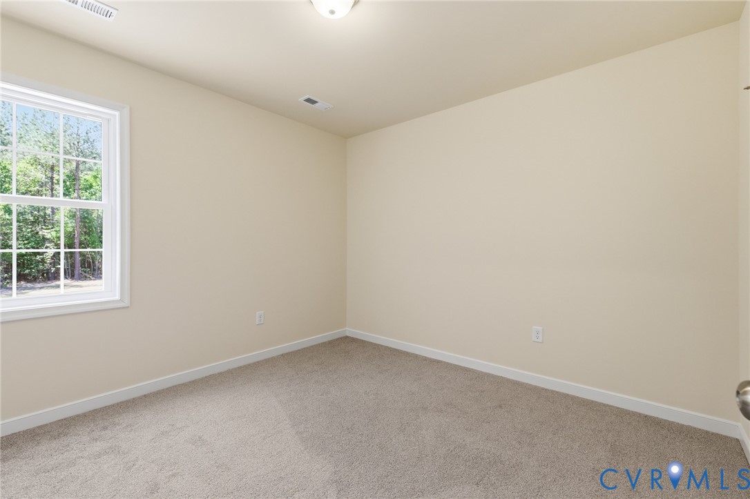 8426 Railroad Bed Road Carson, VA 23830 - Photo 23 of 28