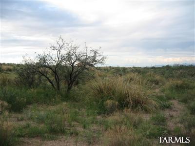 0 West Devon Street, Unit TBD Pearce, AZ 85625 - Photo 1 of 3