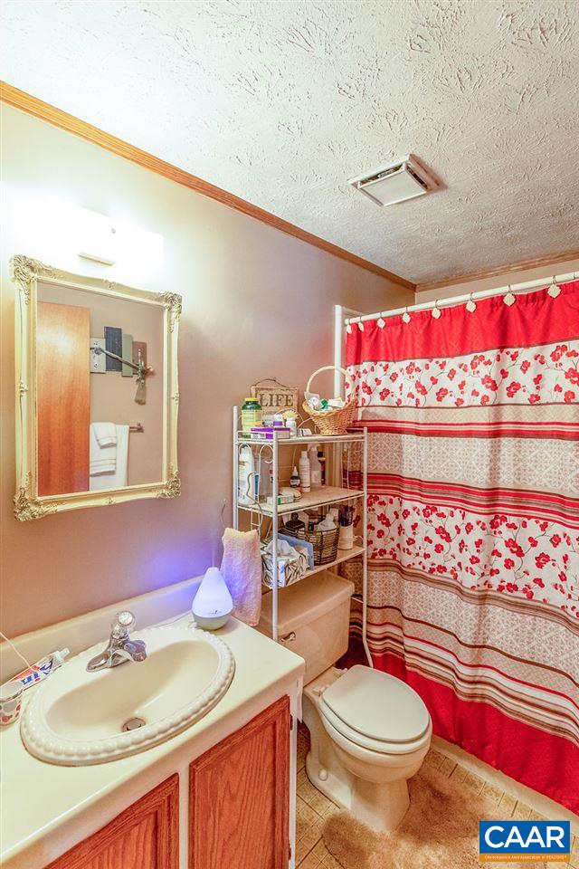 7219 Amicus Road Ruckersville, VA 22968 - Photo 26 of 35 a bathroom with a sink mirror and toilet