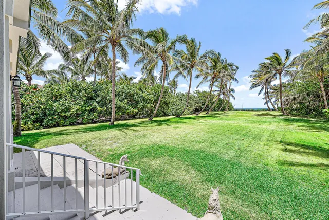 a view of a porch with a yard