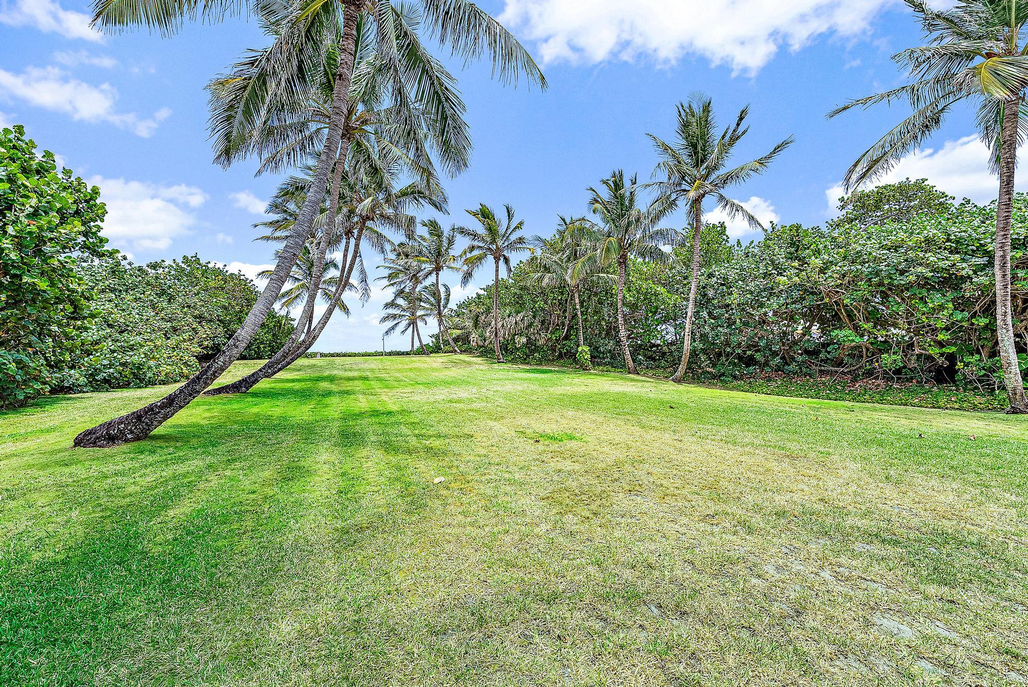 5 North Beach Road Jupiter Island, FL 33455 - Photo 30 of 33 a view of a garden with a building in the background