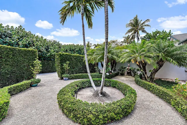 a view of a backyard