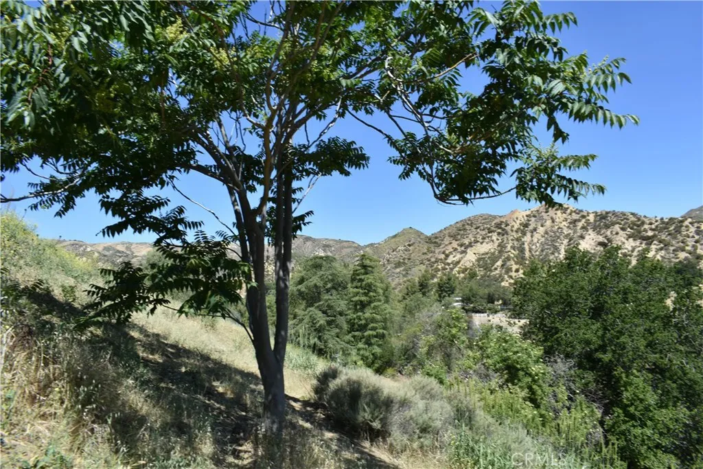 0 San Martinez Road Castaic, CA 91384 - Photo 2 of 9 a view of a tree in a yard