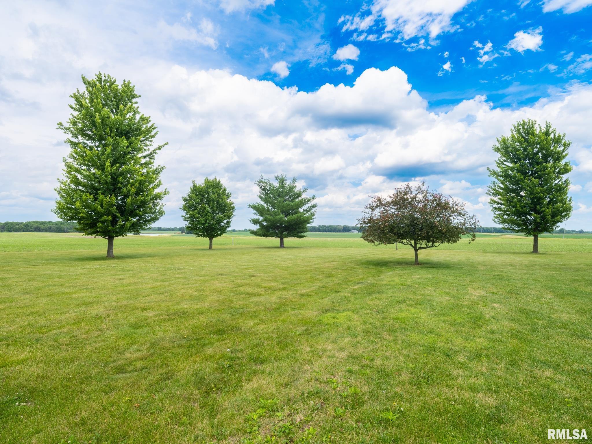 1775 Kickapoo Road Waynesville, IL 61778 - Photo 8 of 51