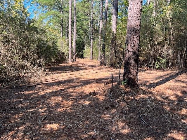 27-ac Babbie Road Andalusia, AL 36421 - Photo 3 of 35 Gallery Image 3