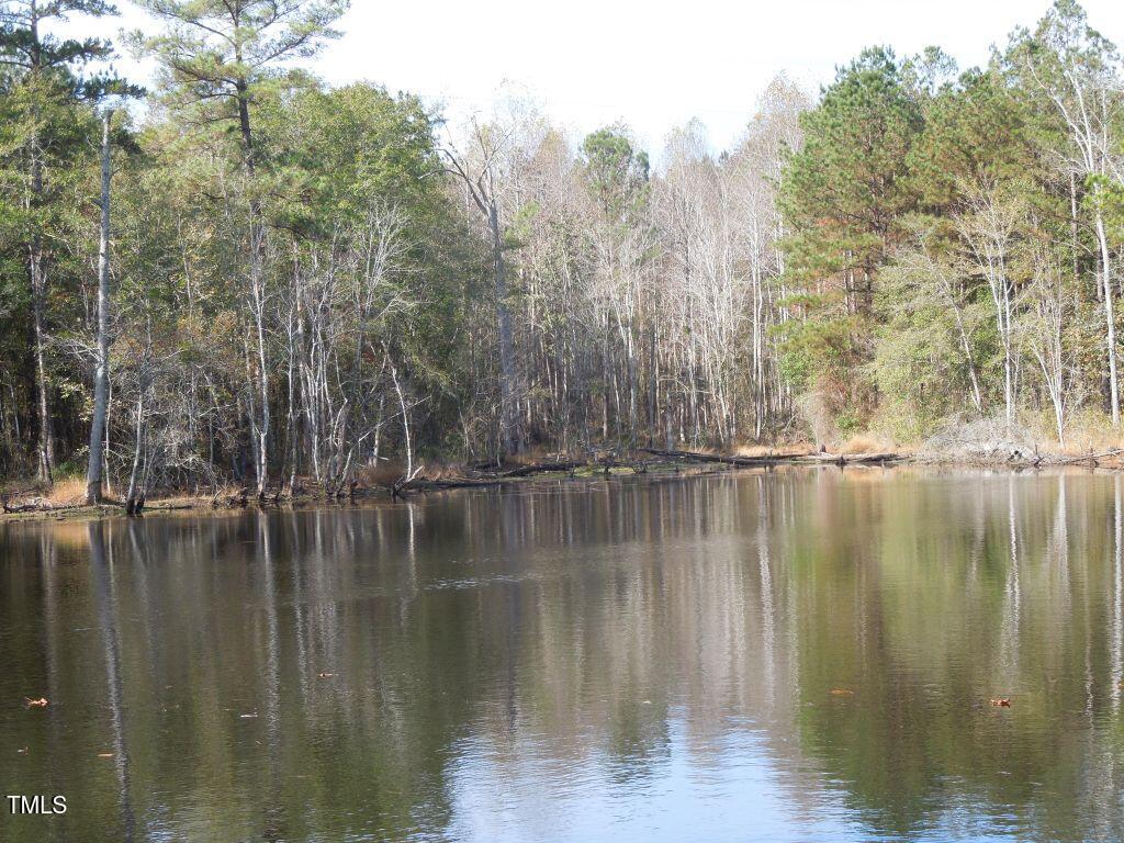 Tbd Cook Road Carthage, NC 28327 - Photo 20 of 40 DSCN0108