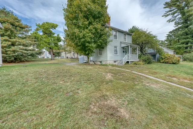 a view of a field with a tree