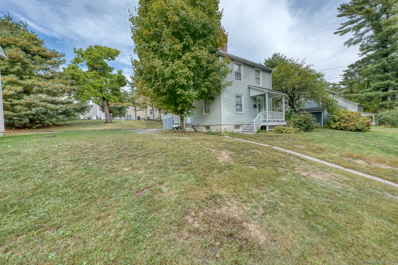 a view of a field with a tree