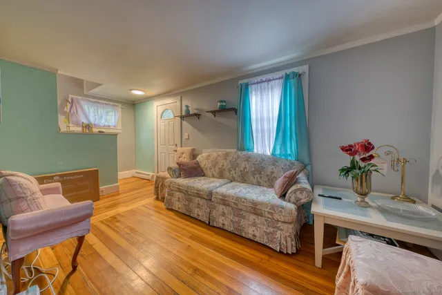a living room with furniture and a potted plant