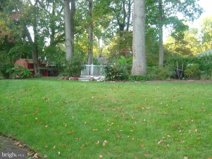 7308 Chatham Street Springfield, VA 22151 - Photo 7 of 12 Back yard
