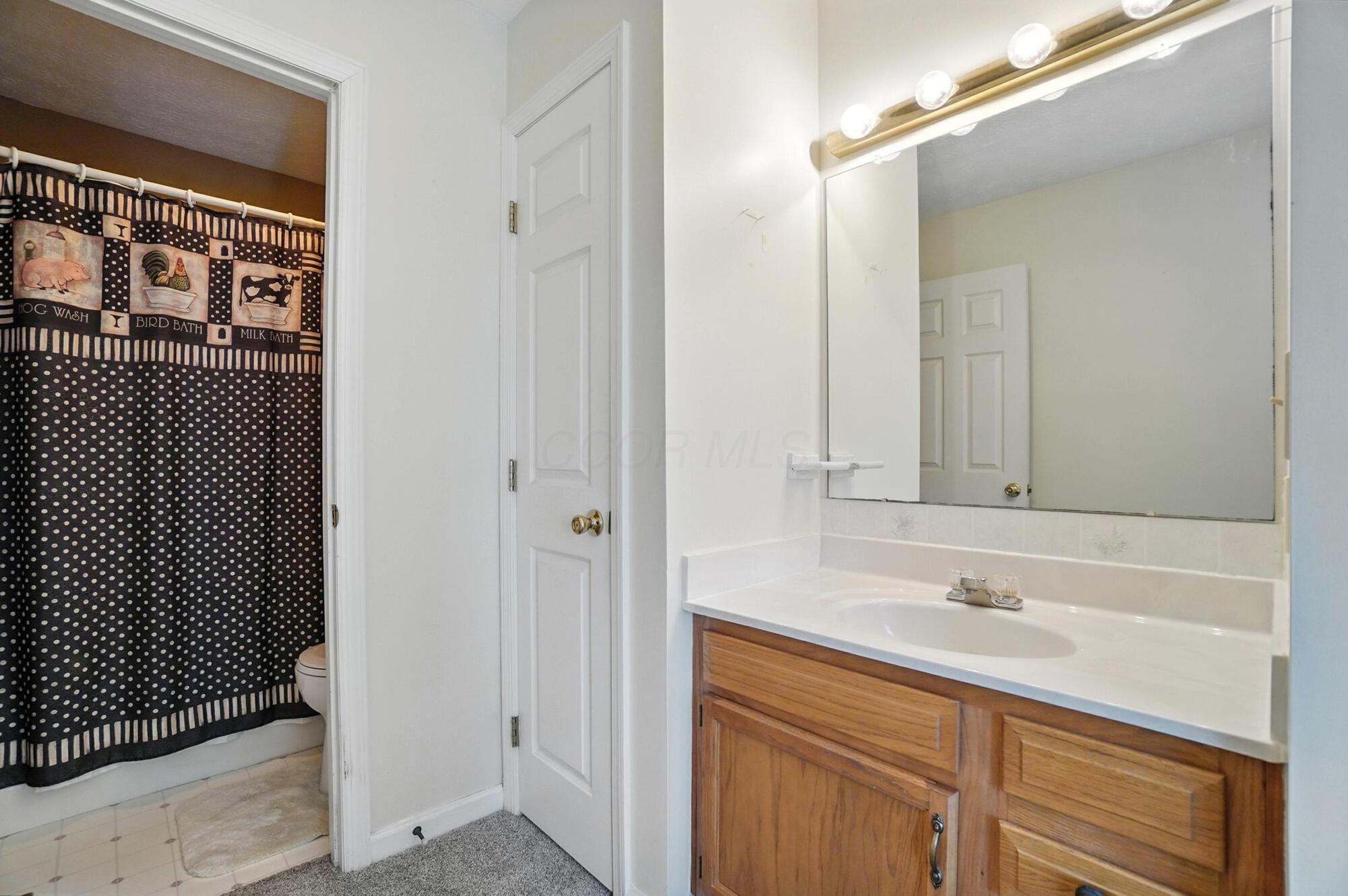 1355 Perry Road Cable, OH 43009 - Photo 28 of 55 Owner's Bath