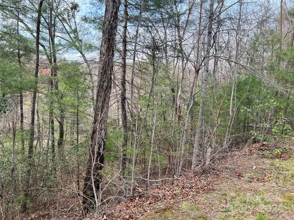 $13,900 | 3114 Mountain Laurel Drive, Lenoir, NC 28645