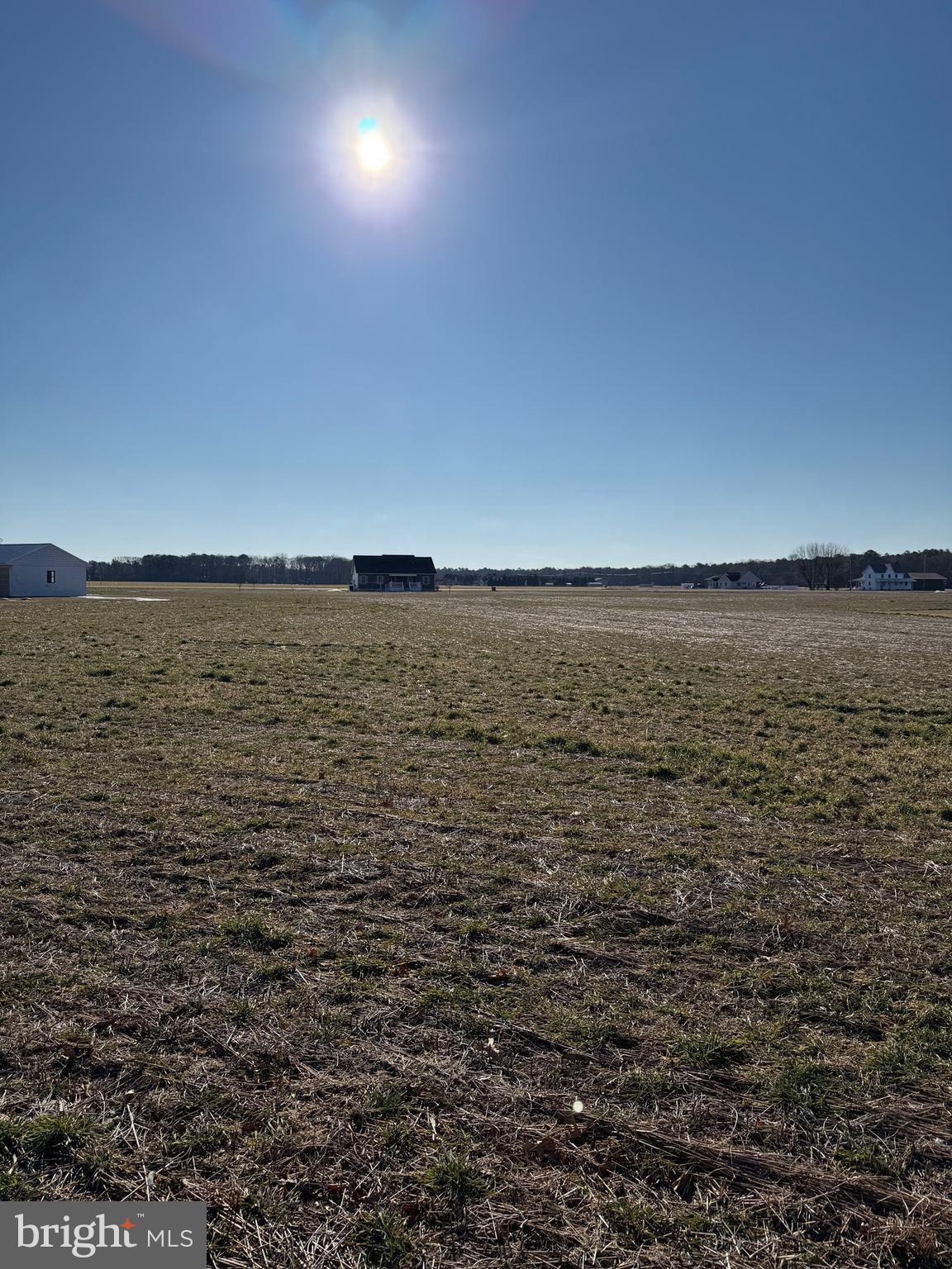 Redden Road Bridgeville, DE 19933 - Photo 1 of 3 Gallery Image 1