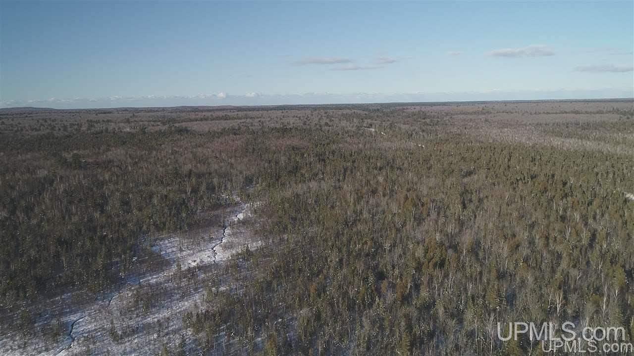 80-acres Co Rd N415 McMillan, MI 49853 - Photo 23 of 36