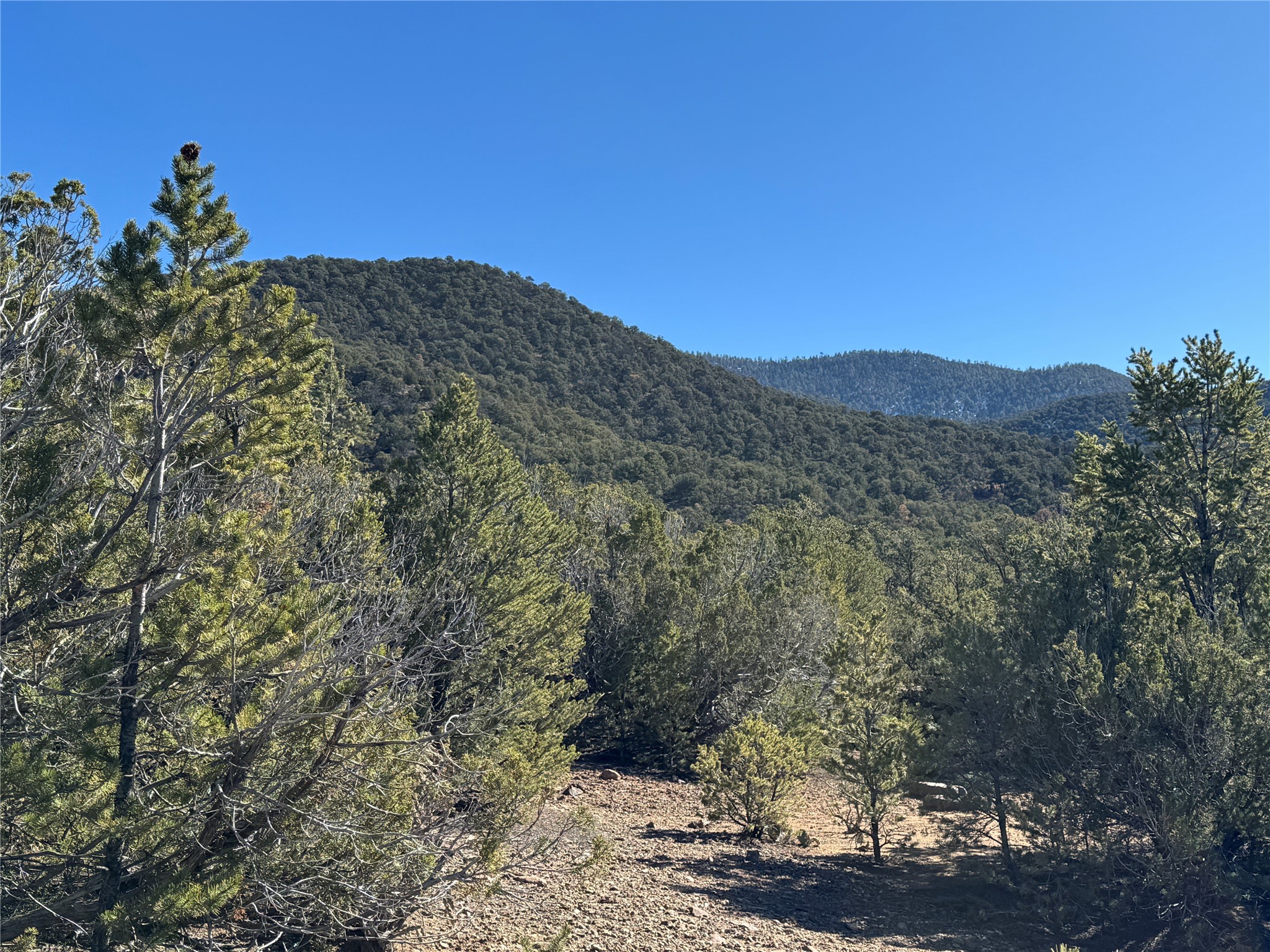 4 Verde Road Taos, NM 87571 - Photo 1 of 16