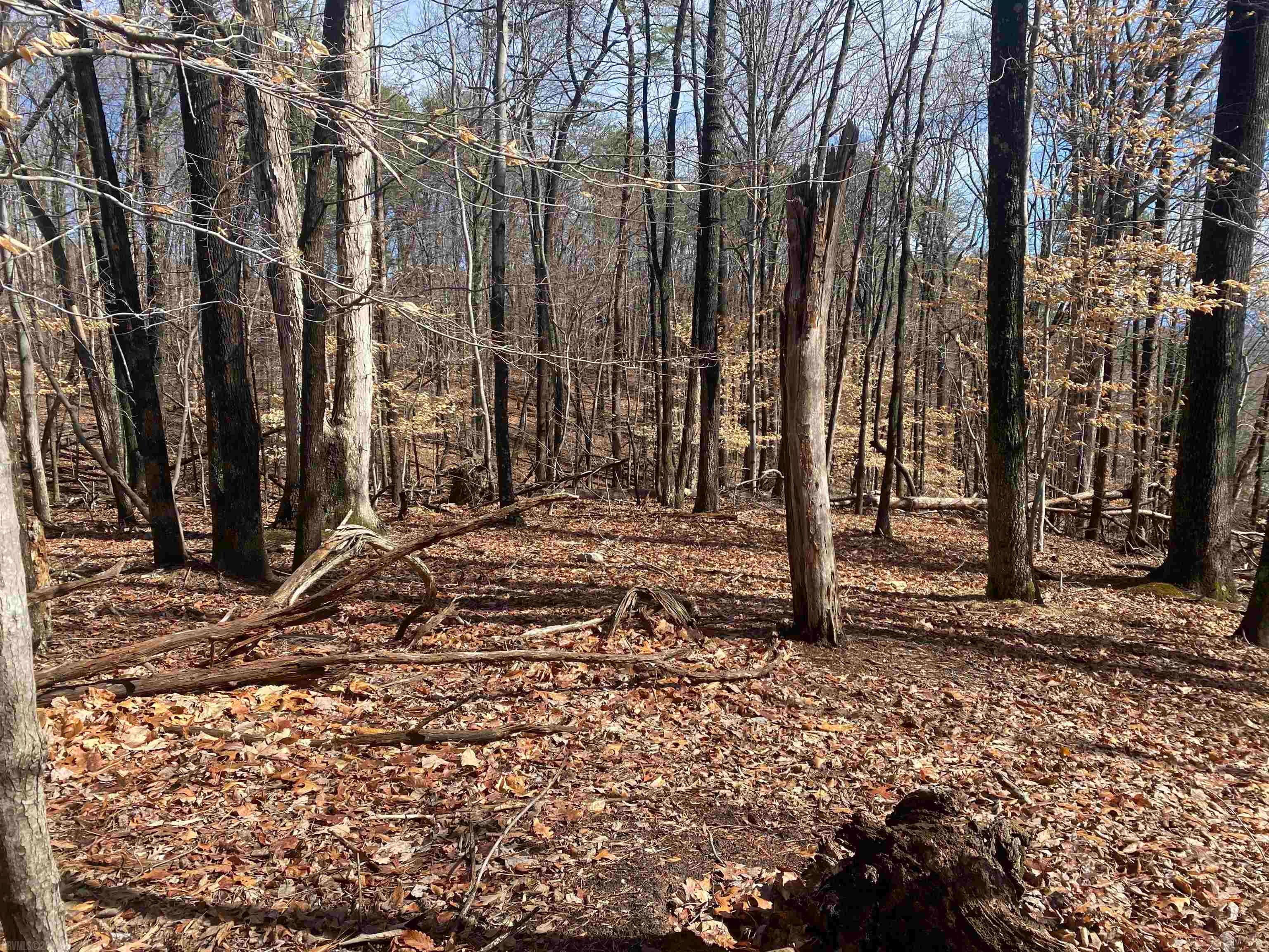 Tbd Fort Lewis Church Road Salem, VA 24153 - Photo 2 of 9 Gallery Image 2