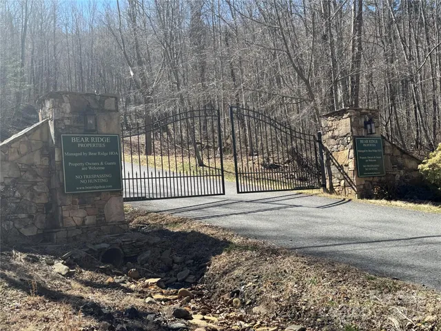 a view of a backyard with pathway