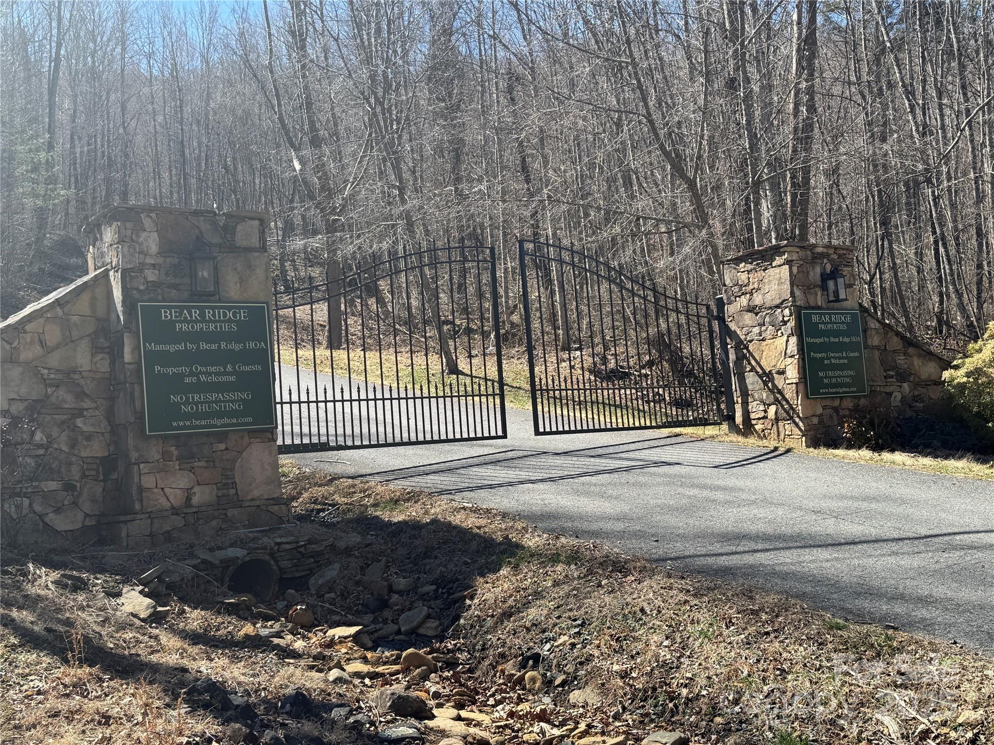 0 Beech Thicket Springs Road, Unit 41 Bakersville, NC 28705 - Photo 1 of 22 a view of a backyard with pathway