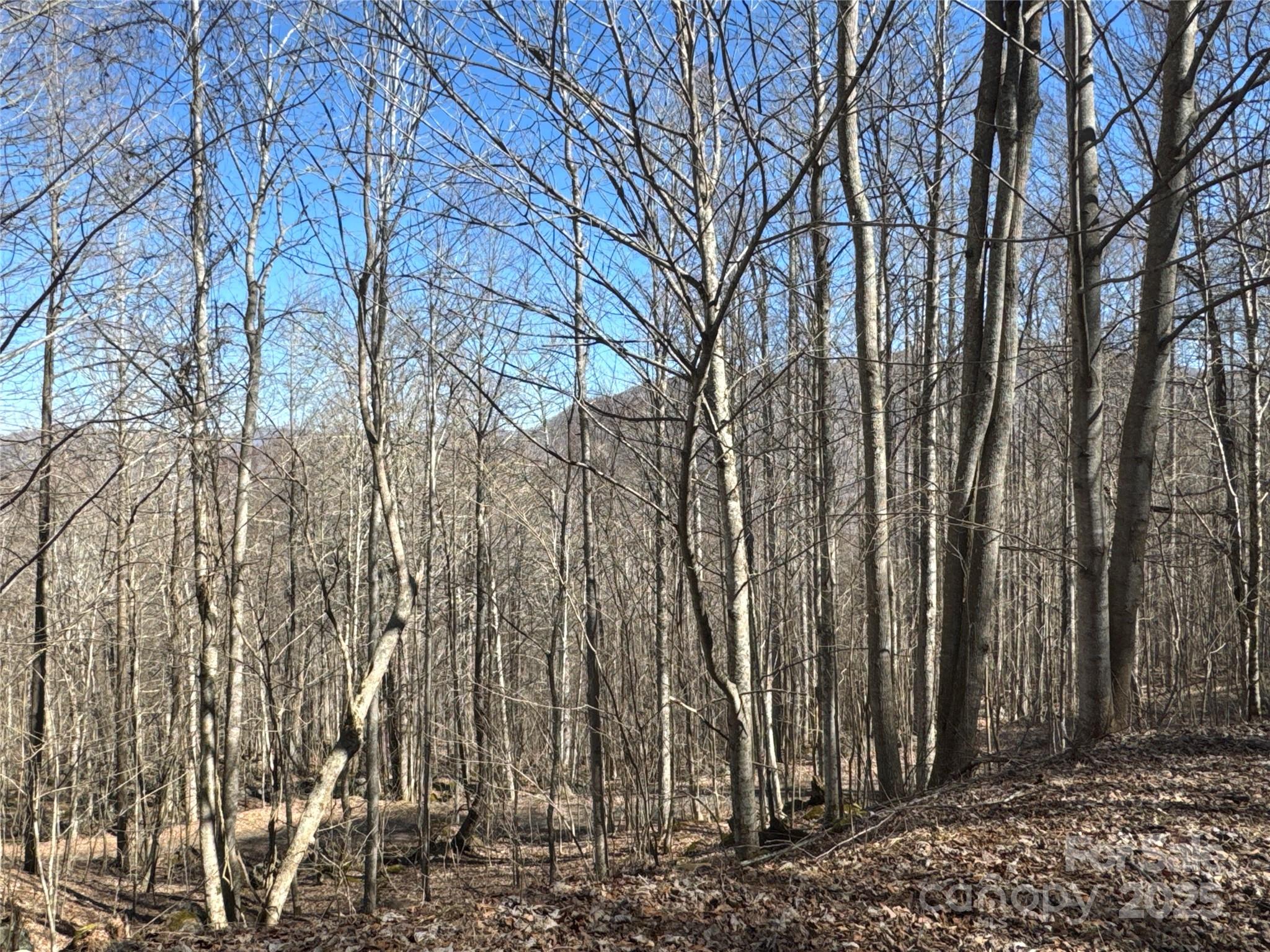 0 Beech Thicket Springs Road, Unit 41 Bakersville, NC 28705 - Photo 11 of 22 a view of a backyard of the house