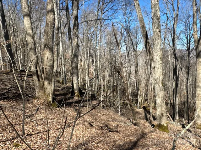 a view of a backyard of the house