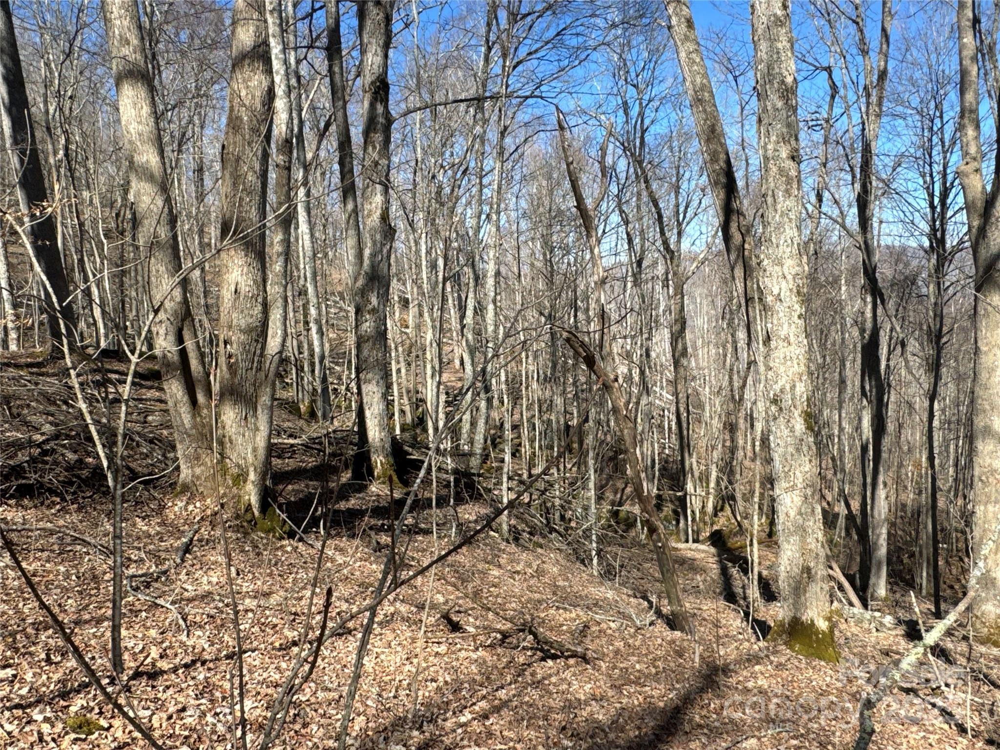 0 Beech Thicket Springs Road, Unit 41 Bakersville, NC 28705 - Photo 14 of 22 a view of outdoor space with seating area