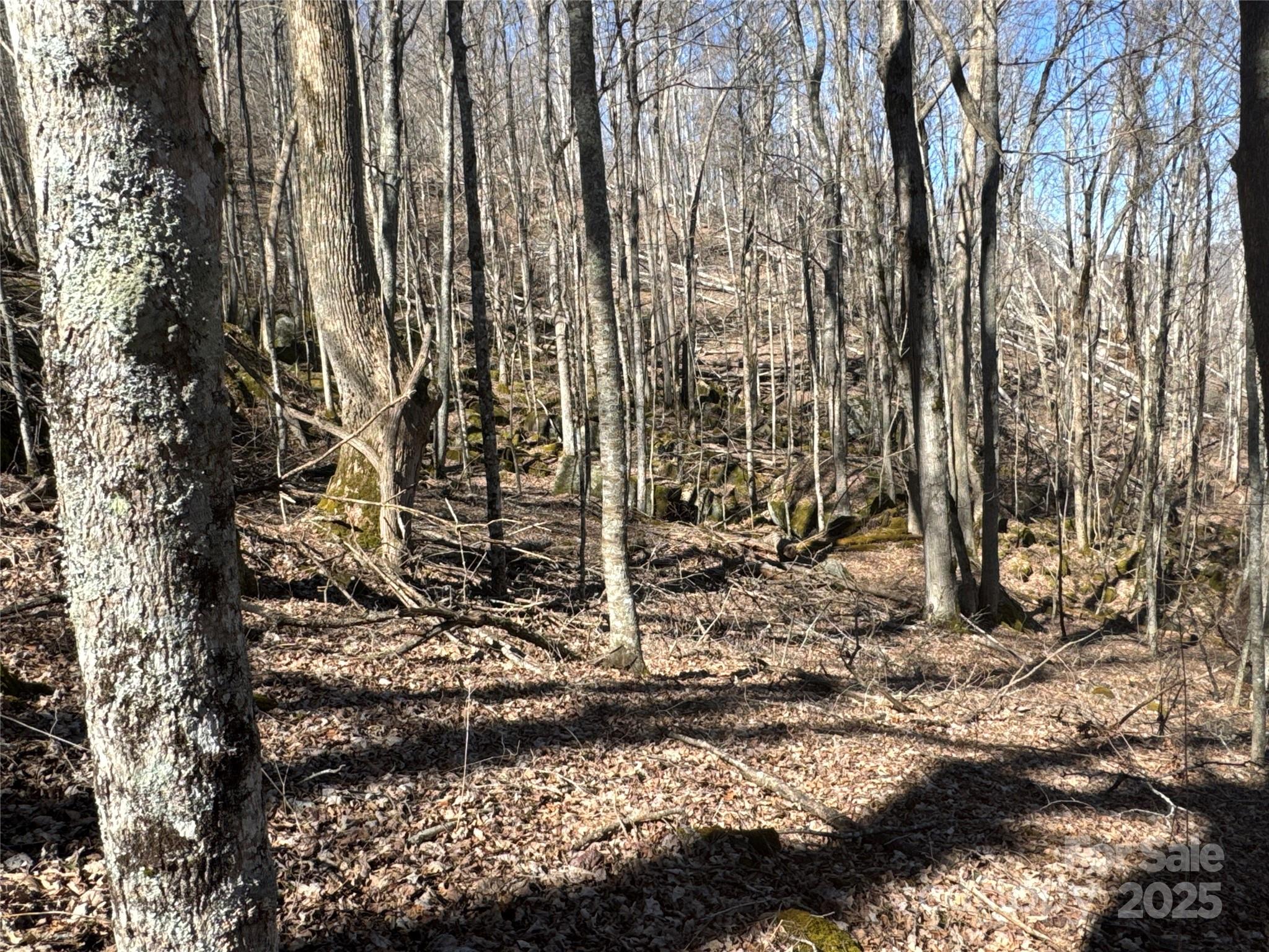 0 Beech Thicket Springs Road, Unit 41 Bakersville, NC 28705 - Photo 15 of 22 a view of a backyard of the house