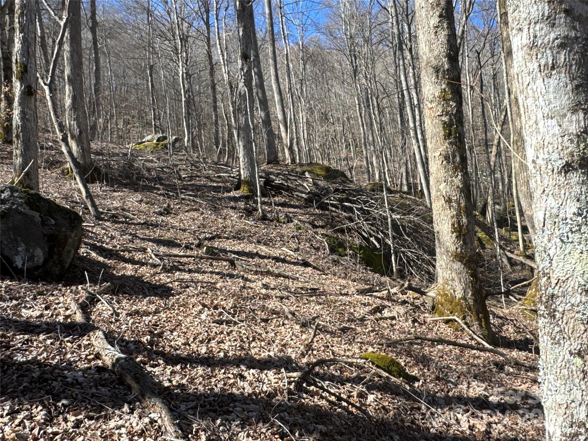 0 Beech Thicket Springs Road, Unit 41 Bakersville, NC 28705 - Photo 16 of 22 a view of a backyard of the house